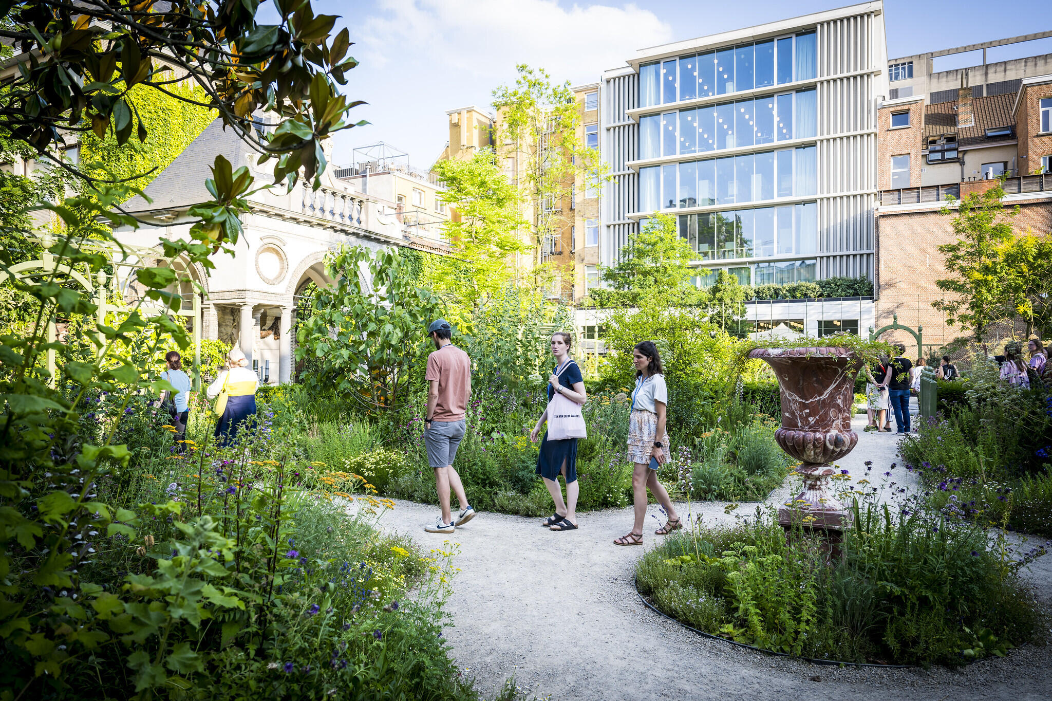 54600909027 416c9c8e02 k